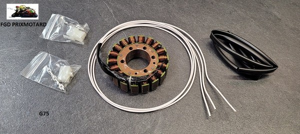 Ducati 1100 Monster 2009/2013 Wechselstromgenerator Stator-image
