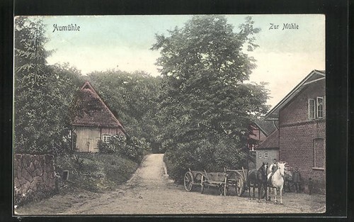 Aumühle, Straße zur Mühle, Ansichtskarte