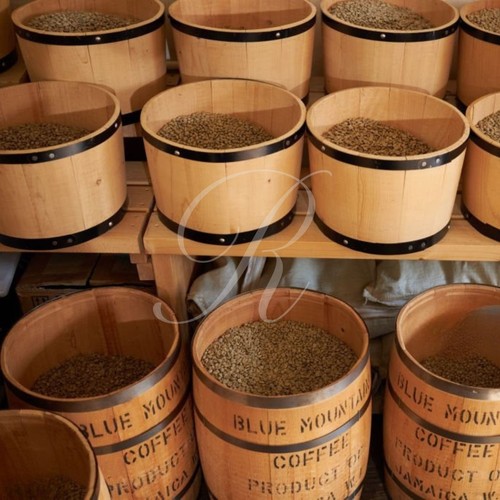 10 lbs of AUTHENTIC Jamaica Blue Mountain Coffee - Free Shipping! - Picture 9 of 11