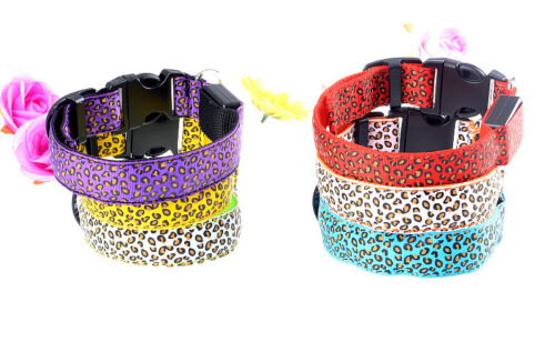 LED Glow Collar Dog Puppy Pet Flashing Light Safety Glow In The Dark FAST POST - Picture 4 of 81