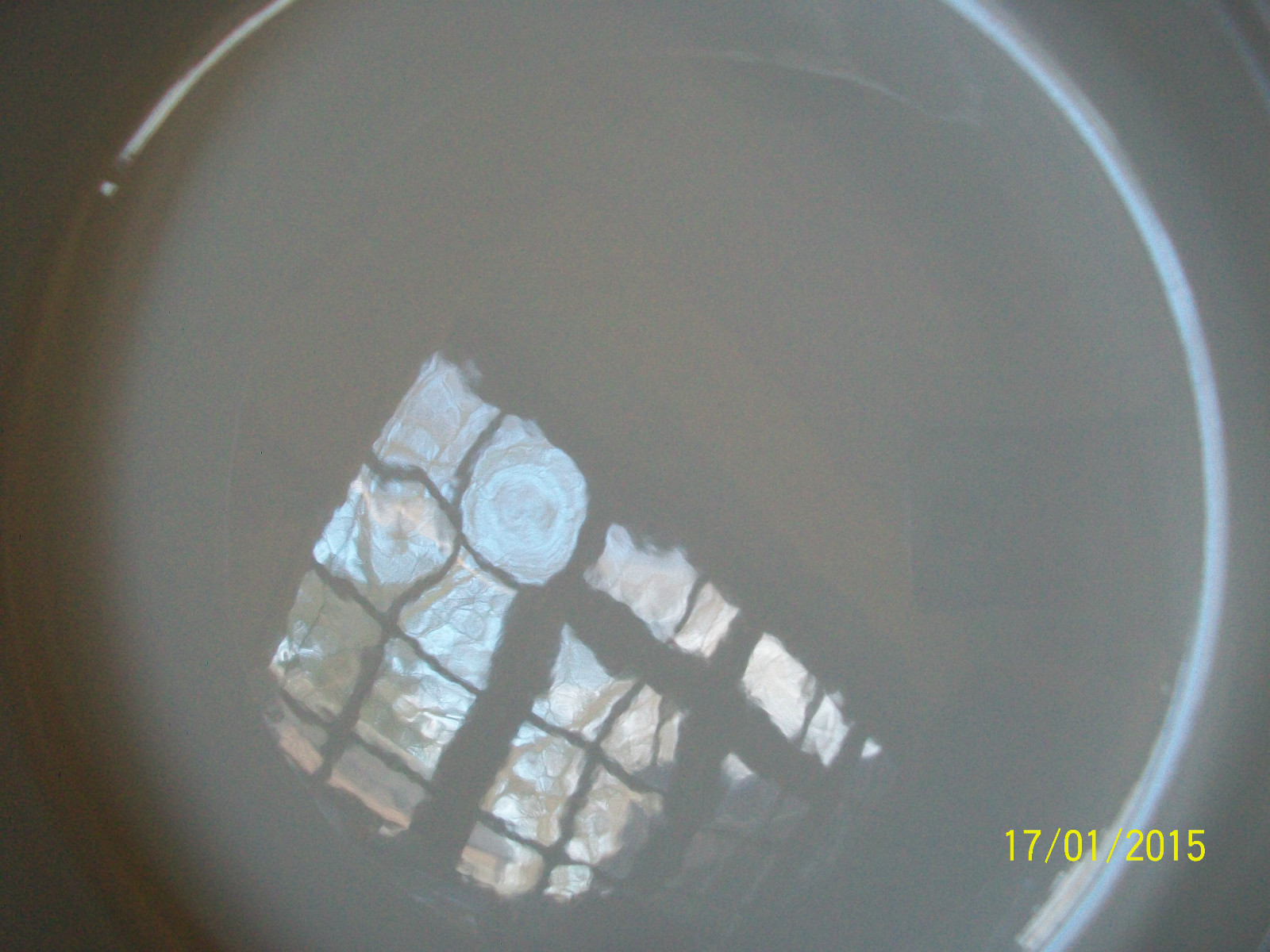 Picture 5 of 8