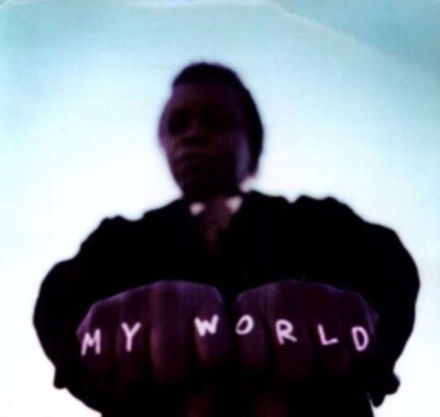 Lee & The Expressions Fields - My World - New (Vinyl) LP Sealed