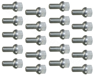 20x Kugelbundschraube Radschrauben Radbolzen M12x1,5 25mm SW19 M12 x 1,5