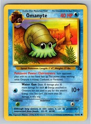 Omanyte 52/62 Fossil Common Unlimited