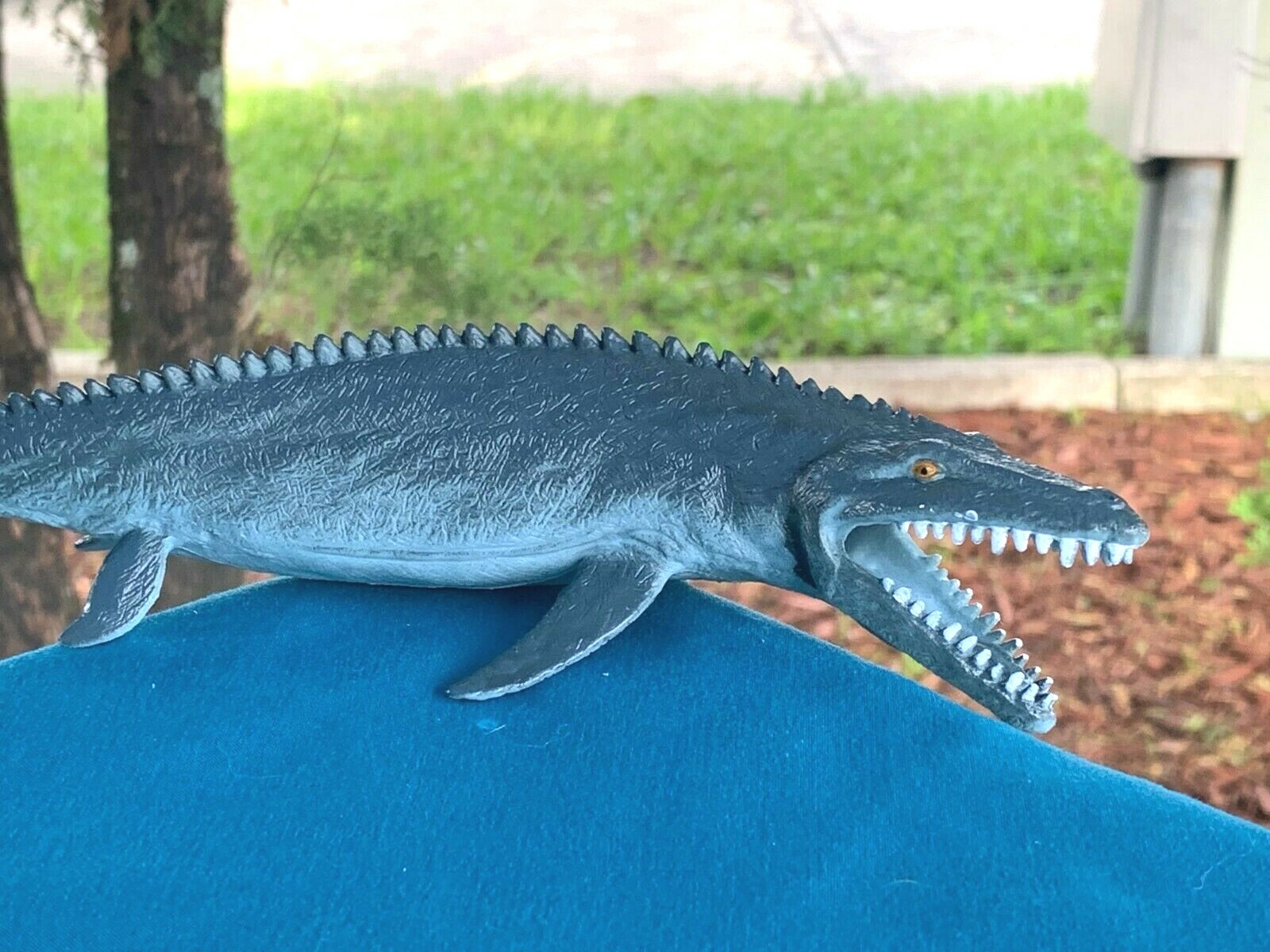 Picture 5 of 8