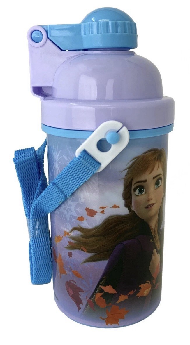 Zak!Frozen II Girls Canteen Water Bottle Anna Elsa Pop Up Lid w/ Shoulder Strap