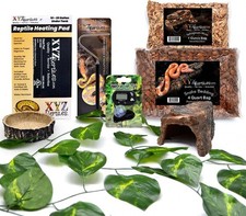 Ball Python Snake Habitat 10 Gallon Terrarium Baby Snake Starter Kit XYZReptiles