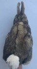 Picture 5 of 10