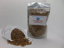Cilantro Seed for Microgreen Seed Sprouting and Home Gardening. COOL BEANS n SPR