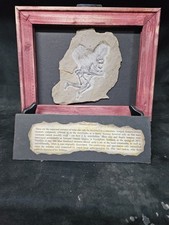 FAIRY FOSSIL WITH BACK STORY,MYTH,SIDESHOW GAFF,PROP,FOLK LORE,MUMMIFIED,ODDITY