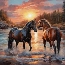Diamond Art Kits for Adults Clearance Horse Diamond Art Painting Full Round D...