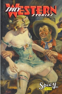 Stories - Spicy Western Stories - Neues Taschenbuch oder Softback - J555z