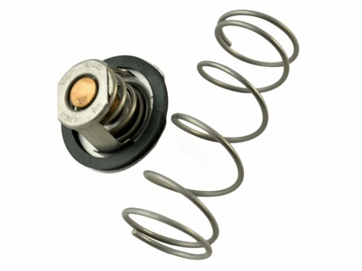 155B-408 HEATER UNITHERM GOVERNOR KIT (RAYPAK INC - 062234B) | eBay