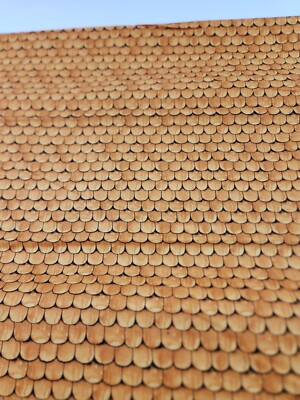 Pumpkin Patch Fabric Raise the Rooftop Orange Halloween J Wecker Frisch BTY