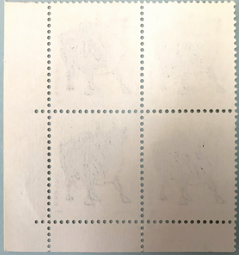 Picture 5 of 12