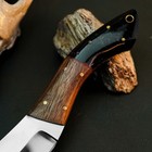 8.8" D2 Steel Hunting Knife Full Tang Fixed Blade Hybrid Handle + Sheath — photo 3