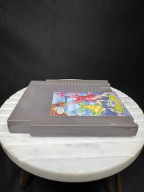 Battletoads & Double Dragon The Ultimate Team Nintendo NES testato autentico