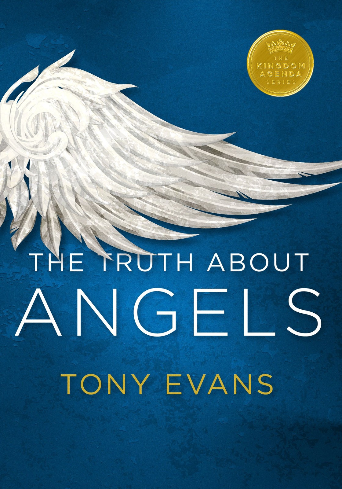 The Truth About Angels (Kingdom Agenda Series) by Evans