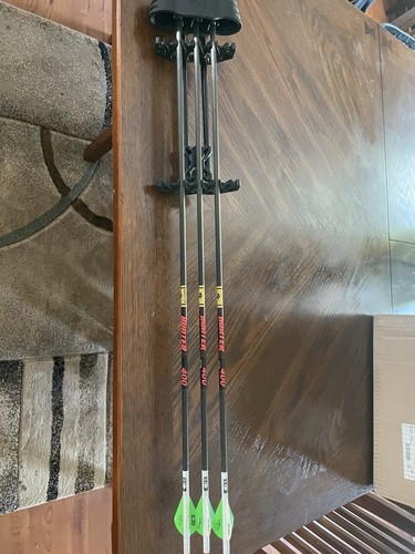 Bear Cruzer X Compound Bow - Picture 8 of 16