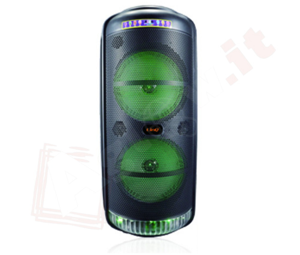 Speaker Party 30W Bluetooth - Cassa Portatile con Microfono e Batteria