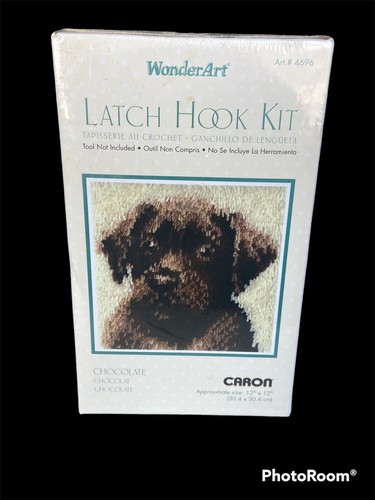 Wonderart Caron Latch Hook Kit 12"X12"-Cioccolato Cane Kit Artigianale Nuovo Art # 4696 - Foto 1 di 2