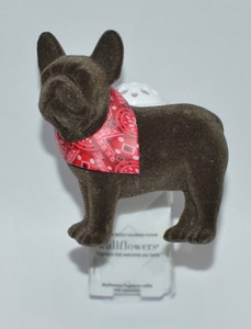 bath and body works dog