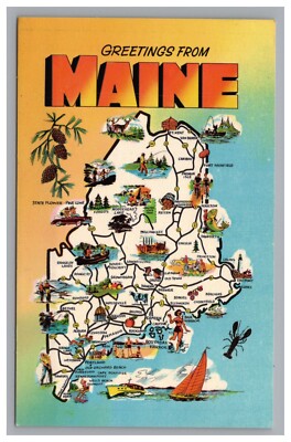 Postcard: ME Greetings From Maine, The Pine Tree State, 1a - Unposted