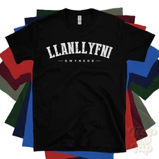 LLANLLYFNI GWYNEDD T-SHIRT tanyrallt wales college style