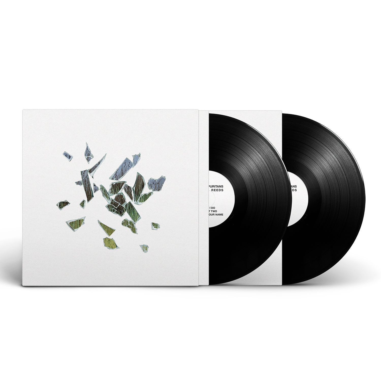 These New Puritans Field of Reeds (Vinyl LP) 10th Anniversary  12" Album