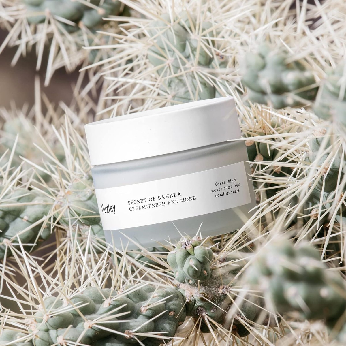 Huxley Secret of Sahara Cream Fresh and More 50ml | eBay