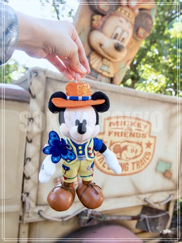 Tokyo Disney Sea Limited Topolino & Friends Greeting Trail"" Distintivo peluche Minnie - Foto 8 di 12
