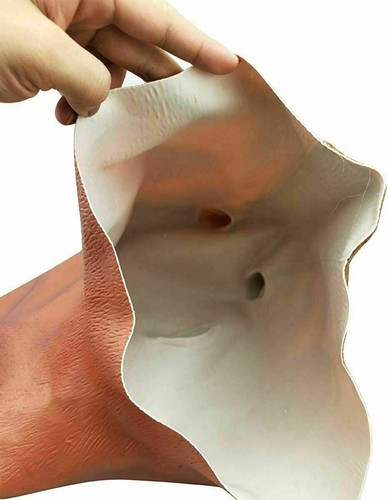 Pferdekopfmaske Latex Tier Cosplay Halloween Party Kostüm Kostüm - Bild 2 von 4