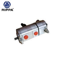 RIPPA Dual-Pump Gear Pump 060403 for Mini Excavator Confluence