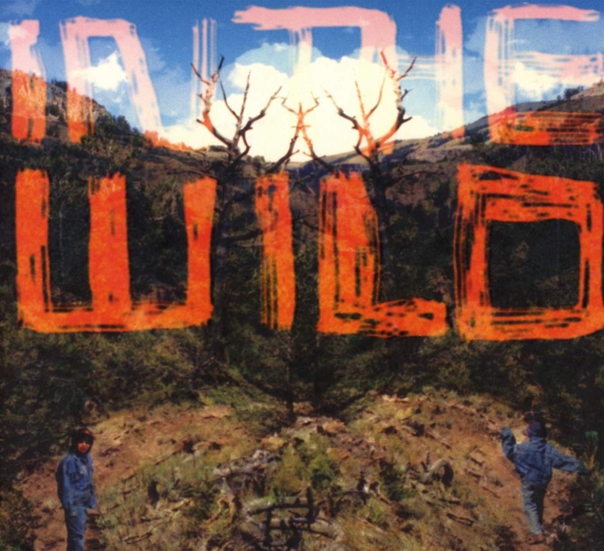Faltydl In the Wild CD ZENCD212 NEW
