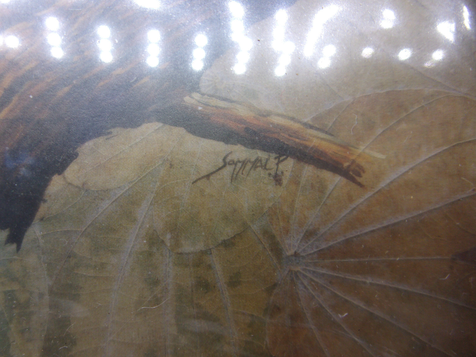 Picture 6 of 7