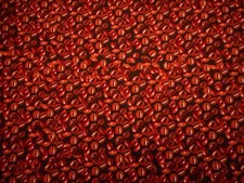 Quilt Fabric 1/2 Yard Espresso Coffee Beans Expresso Brown Premium Cotton Nov C