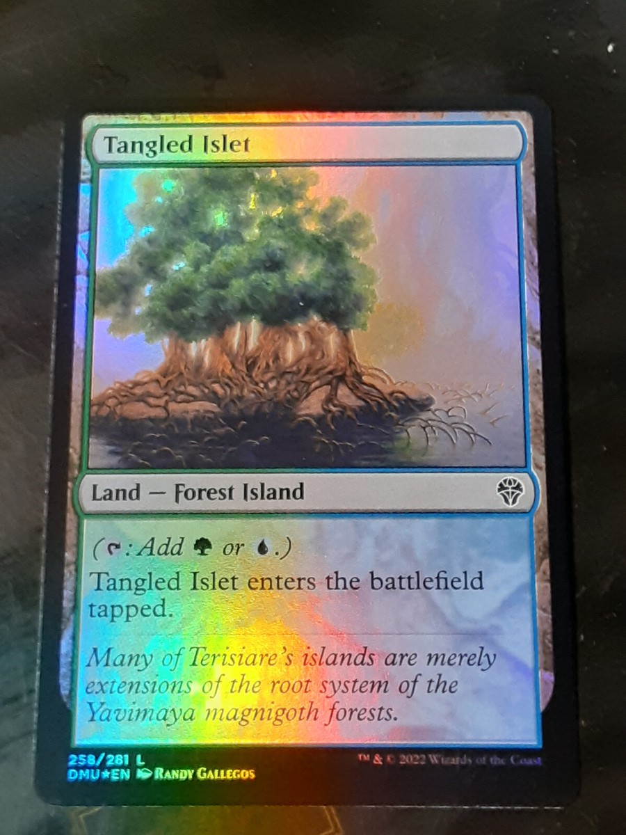 Tangled Islet FOIL , Dominaria United , Near Mint ,MTG, FREE