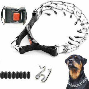 prong for dogs