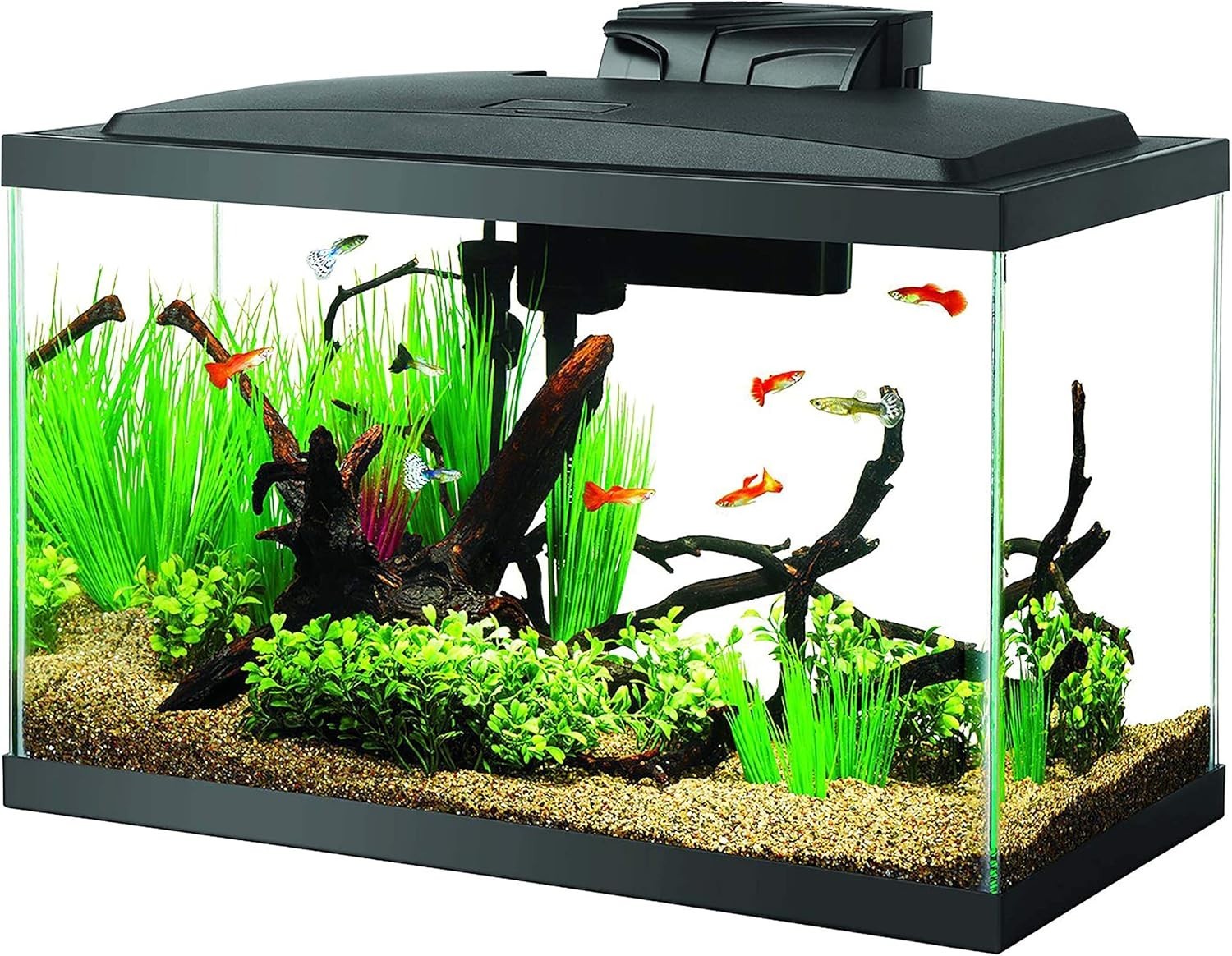 Aquarium Fish Tank Starter Kit with LED Lighting 10 Gallon F