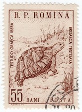 1960 Romania - Tortoise, Animals - 55 Bani Stamp