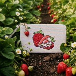 Coach Strawberry Wristlet | eBay