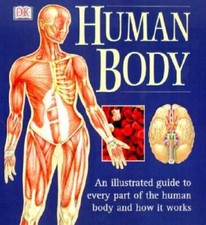 Human Body: An Illustrated Guide to Every Par...