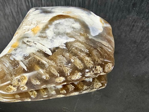 Rare Agate Coral Crystal Fossil - UK (#12) - Picture 4 of 5