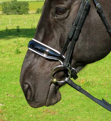 Cavesson noseband - black patent with white padding – Cathedral Equine