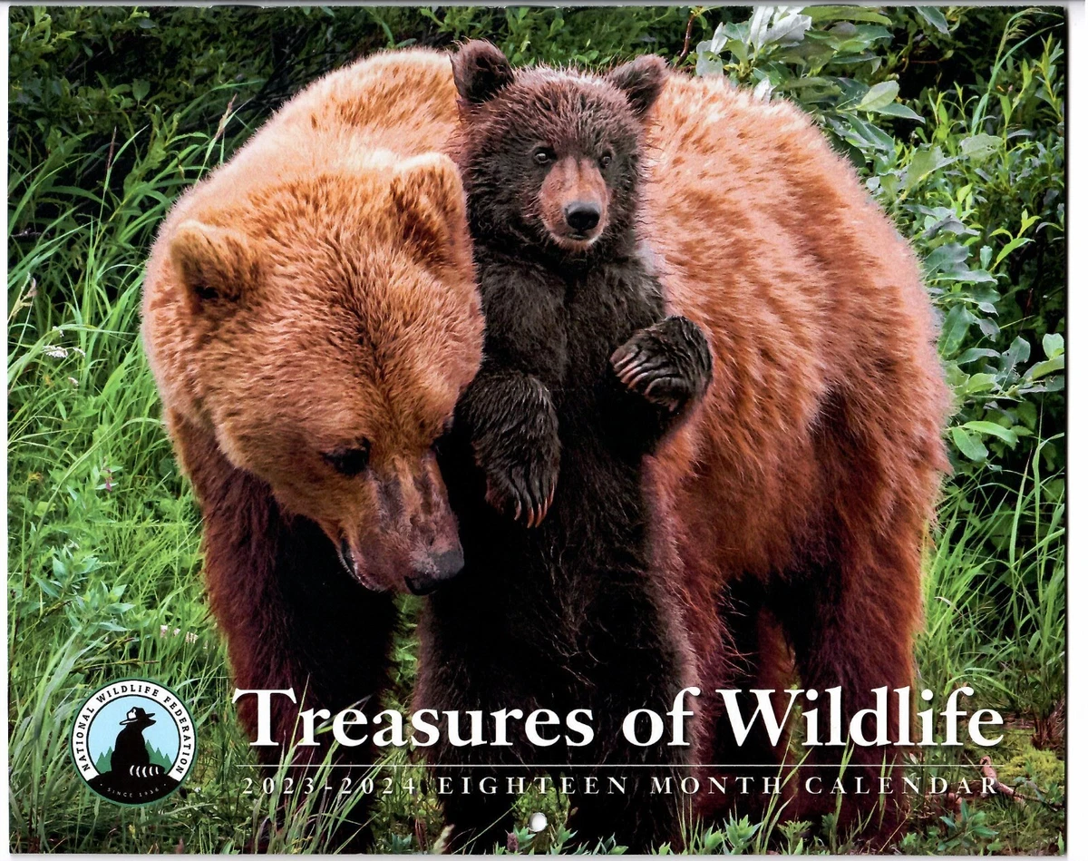 National Wildlife Federation 2024 Calendar