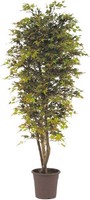 Artplants Deko Japanischer Ahornbaum Kescha, NaturstäMme, GrüN-Rot, 300Cm