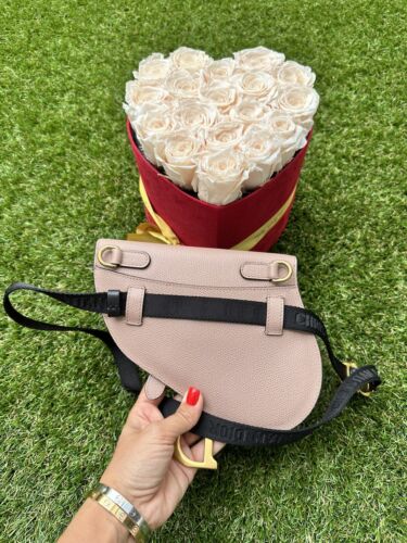 Dior Saddle Belt Pouch Waist Blush Beige Poudre Pink Belt Bag Gold Sold Out - Picture 13 of 19