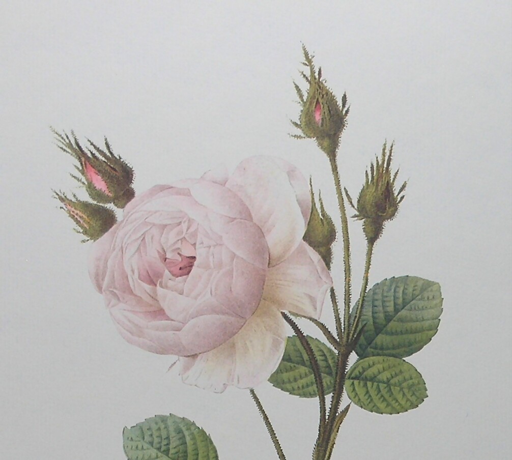 Picture 6 of 6