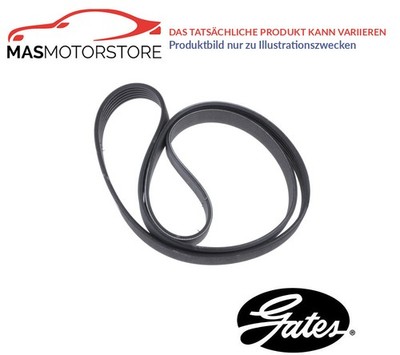 KEILRIEMEN KEILRIPPENRIEMEN GATES 6PK1113 A FÜR NISSAN PRIMERA,ALMERA II