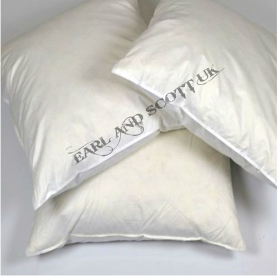 20 x 20 cushion insert